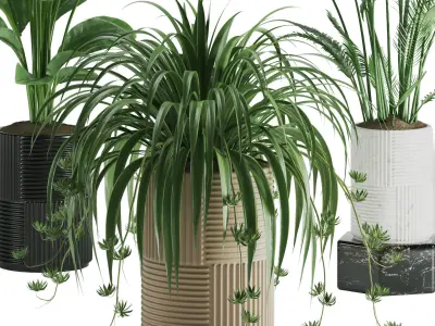 Indoor Plant Set 01 3D model