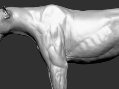 Cheetah VFX Ultra Cinematic Realistic Zbrush Sculpt 3D model