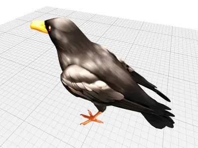 Black Raven Crow Low-poly 3D model