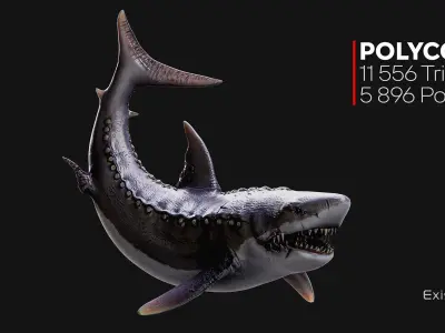 Megalodon Shark Model GameReady Ocean Predator Low poly fish - 7 Low-poly 3D model