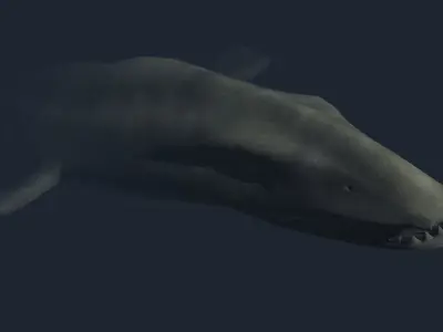 Liopleurodon whale Low-poly 3D model