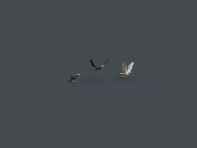 Mobile Crow Low-poly 3D model