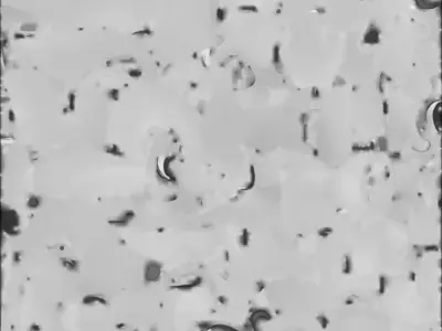 Cute Cartoon Squirrel 3D Model Low-poly 3D model