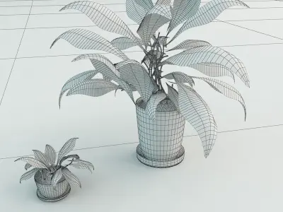 Flowers two potted plants Free 3D model