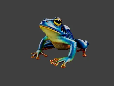 Frog Animal Low-poly 3D model