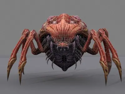 Queen bug Low-poly 3D model