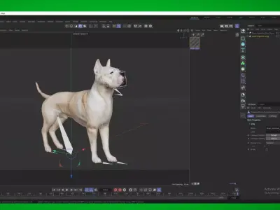 Dogo Argentino Dog Free low-poly 3D model