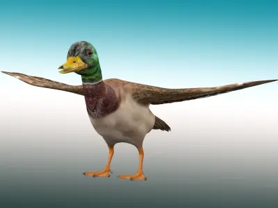 Duck  Rig Low-poly 3D model