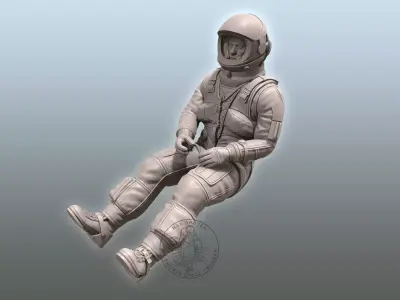 SR-71 Blackbird Pilot 3D print model