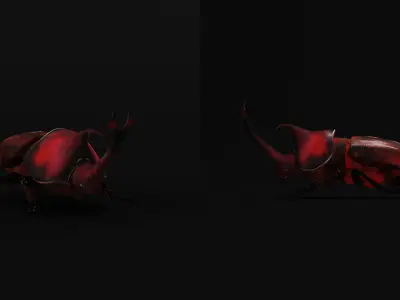 Dynastinae Rhinoceros Beetle Low-poly 3D model