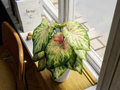  Caladium Potted Plant Model, Pale Green 