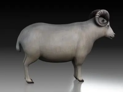 sheep ram ewe lamp wool fur farm livestock domesticated  3D model