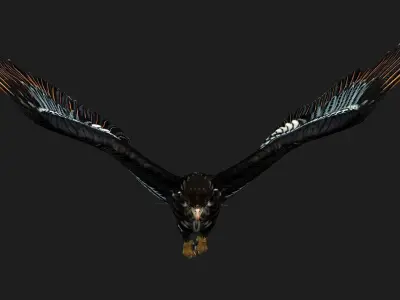 Eagle A4 3D model