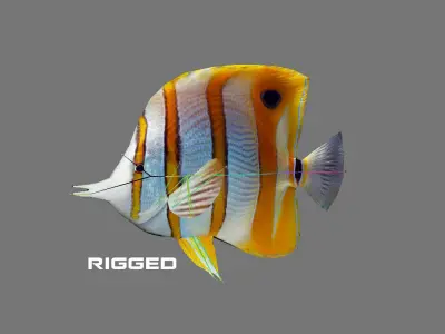 Low-Poly Butterflyfish Animated Low-poly 3D model