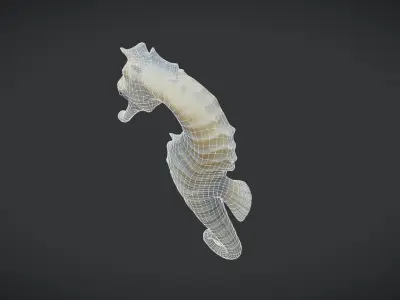 Seahorse - Hippocampus reidi Low-poly 3D model