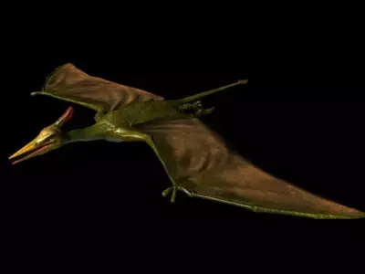 Pterodactyl Free low-poly 3D model