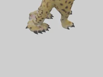 Ocelot Paws Model 3D model