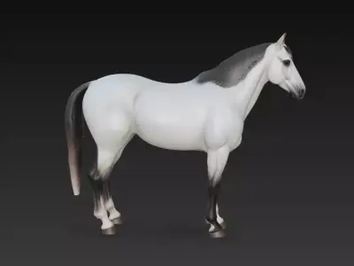 White Horse 3D model