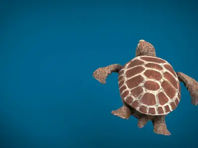 TURTLE sea Low-poly 3D model