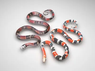 Snakes 3D model