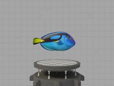 Blue Tang Low-poly 3D model