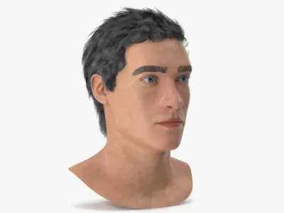 Male Head 3D model purchase