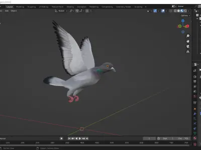 Realistic flying Pigeon - LOOP FLIGHT animations Low-poly 3D model