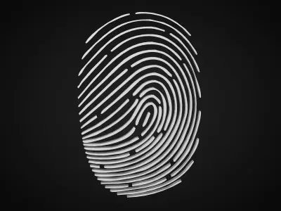 fingerprint 3D model