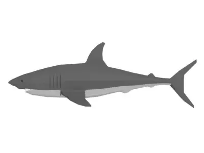 Low Poly Cartoon Shark Low-poly 3D model