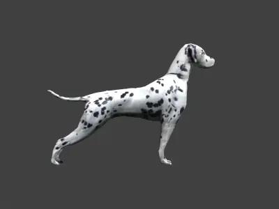 GAME-READY DOG dalmatian Low-poly 3D model