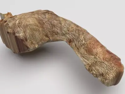 Chicken Neck 3D model