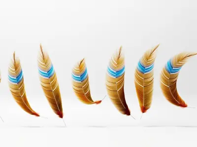 Set of 8 high quality feathers 3D model
