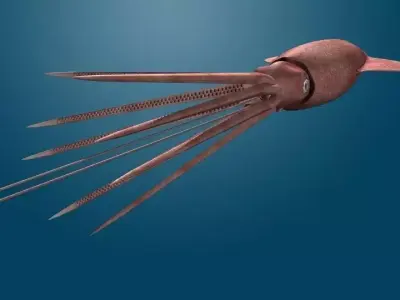 Giant Squid 3D model