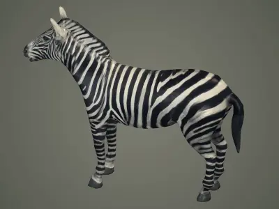 animals animal zebra horse land mammals plains mammal 3D model