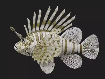 Lionfish Low-poly 3D model