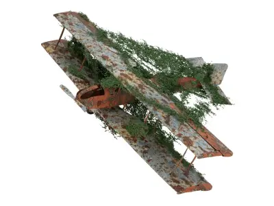 Damaged Rusted Aircraft 3D model