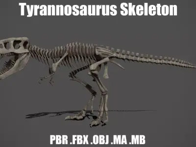 Tyrannosaurus Skeleton 3D model