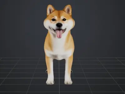 Dog Model - Shiba 3D model