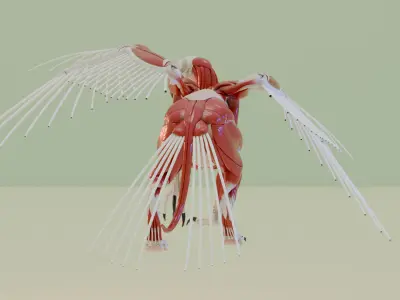 gryphon anatomy 3D model
