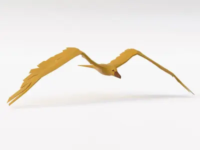 Seagull 3d model bird in flight Low-poly 3D model