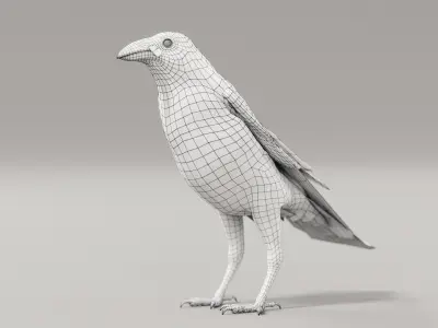 Crow - Rigged Low-poly 3D model