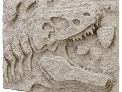 DIY Fossil Art Collection 3D model