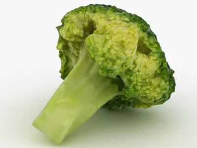 Broccoli Florets 02 3D model