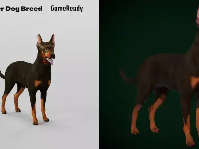 Zwergpinscher Dog Breed Free low-poly 3D model