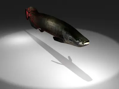 Arapaima fish with light shining Low-poly 3D model