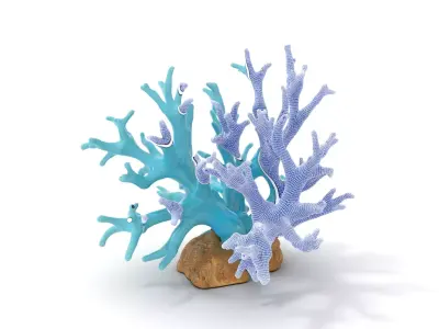Turquoise Coral model pack Low-poly 3D model