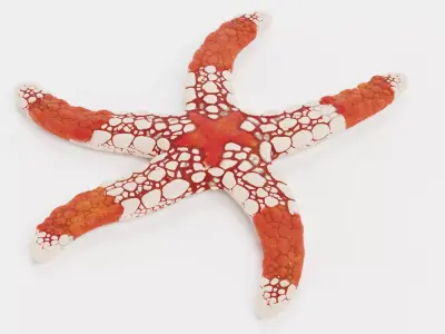 -Necklace Starfish V2 Rigged- 3D model