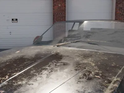 old classic monte carlo ss 1986 Free low-poly 3D model