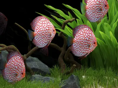 Aquarium fish tank with plants in it 3D model