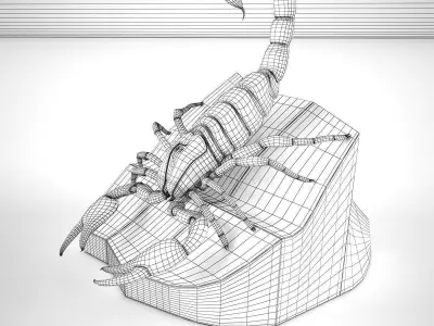 Scorpion on rock 3D model